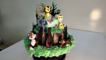 Junge theme cake