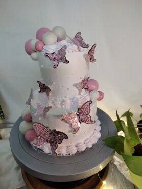 Butterfly theme 2 layer cake