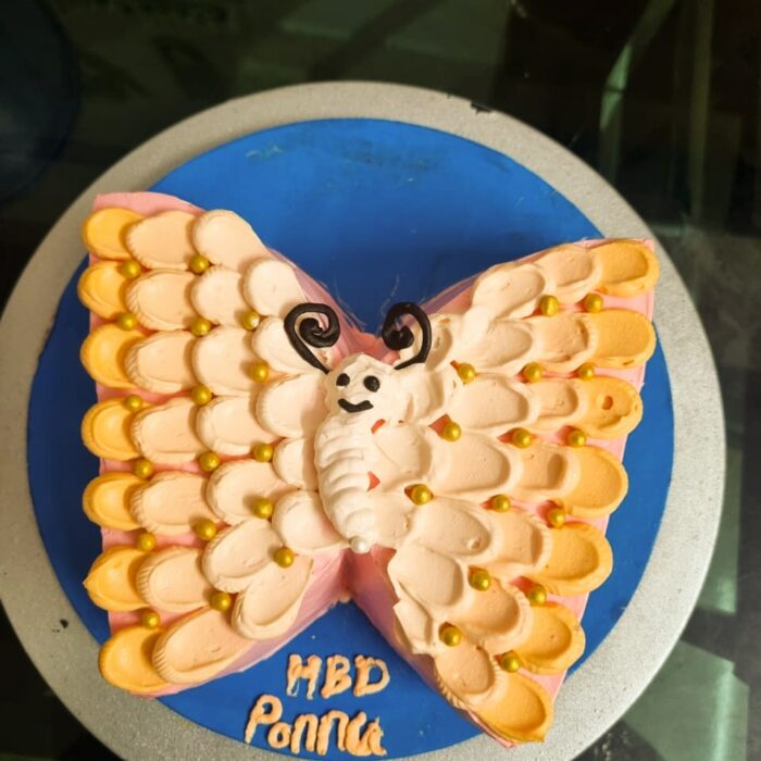 Vanila cake , butterfly theme